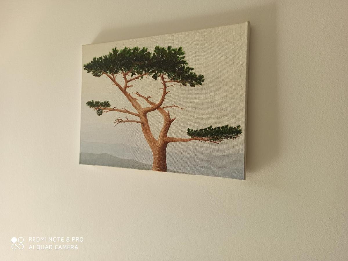 Apartmani Mislav Slatine Bagian luar foto